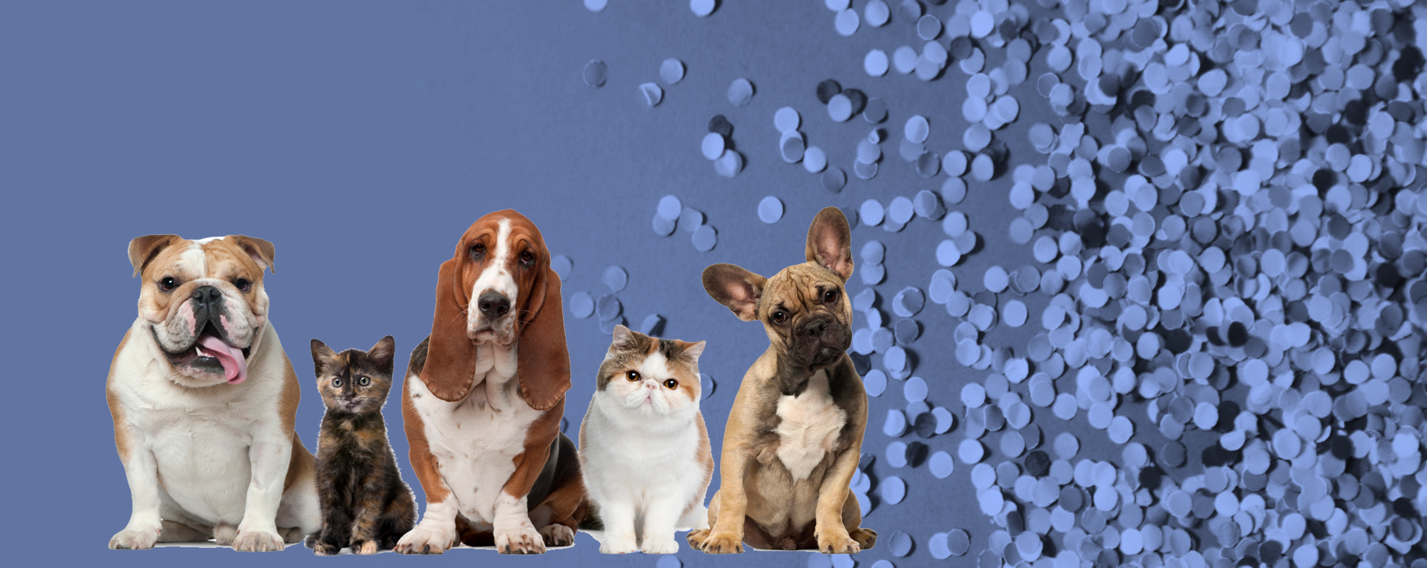 Provides Innovative Products – Rewriting The Future Of Pet Healthcare